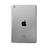 iPad 10.2 
