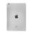 iPad Air1