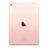 iPad Pro 9.7 